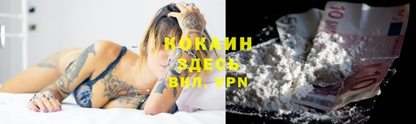 крисы Балахна