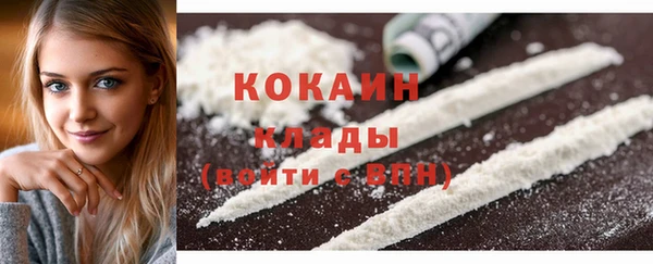 Альфа ПВП Каменка